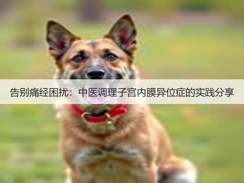 告别痛经困扰：中医调理子宫内膜异位症的实
