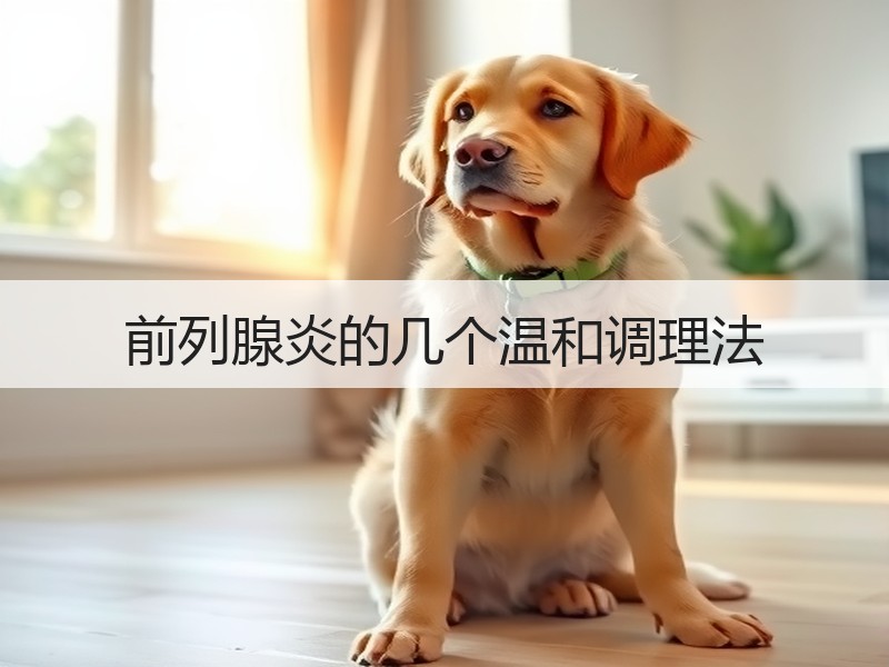 前列腺炎的几个温和调理法