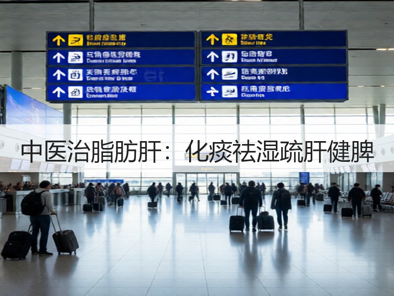 中医治脂肪肝：化痰祛湿疏肝健脾
