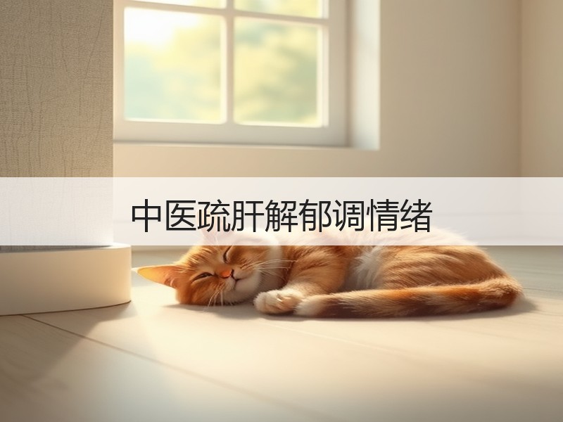 中医疏肝解郁调情绪