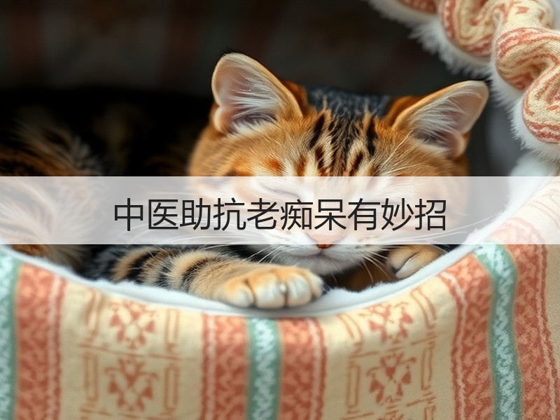 中医助抗老痴呆有妙招