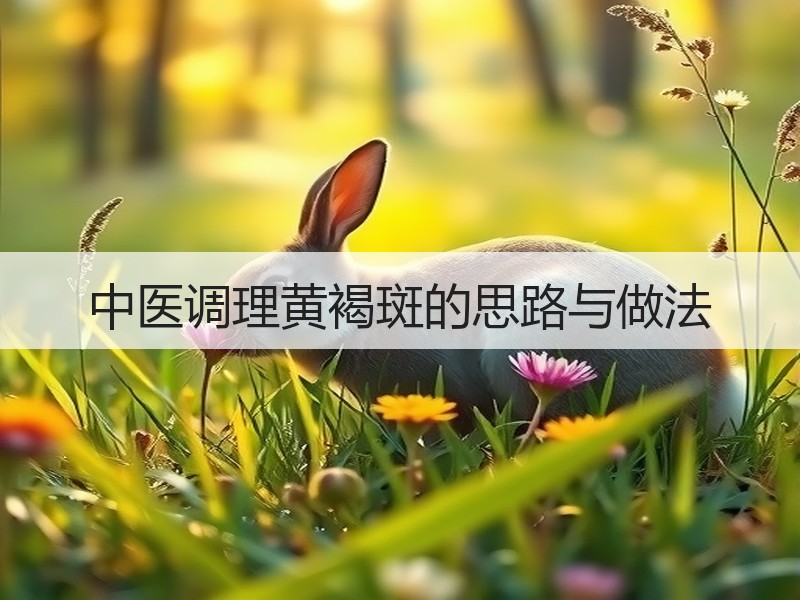 中医调理黄褐斑的思路与做法