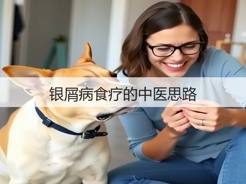 银屑病食疗的中医思路