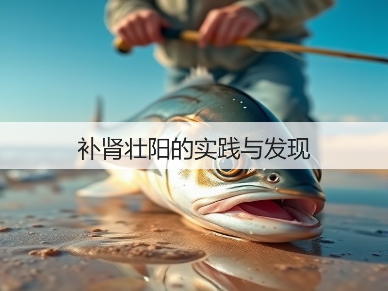 补肾壮阳的实践与发现