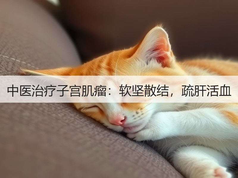 中医治疗子宫肌瘤：软坚散结，疏肝活血