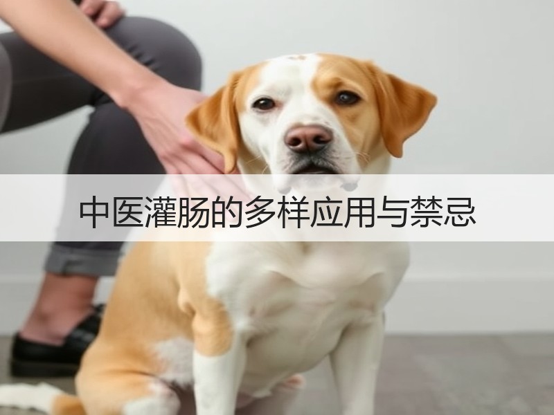 中医灌肠的多样应用与禁忌